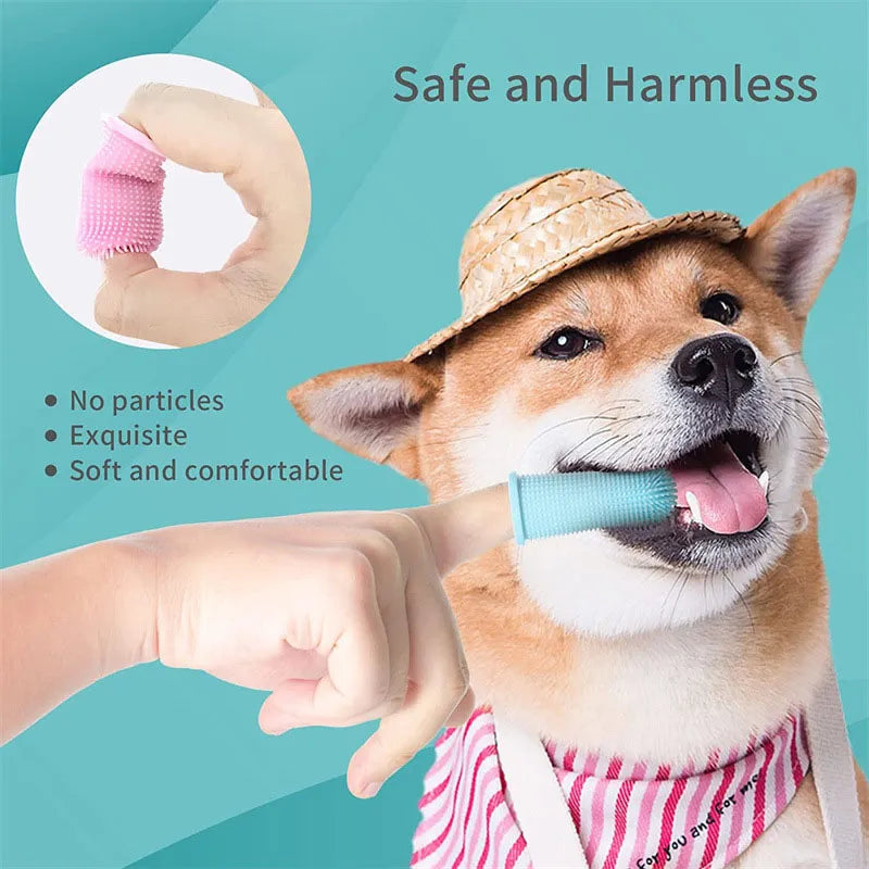 Pet tools