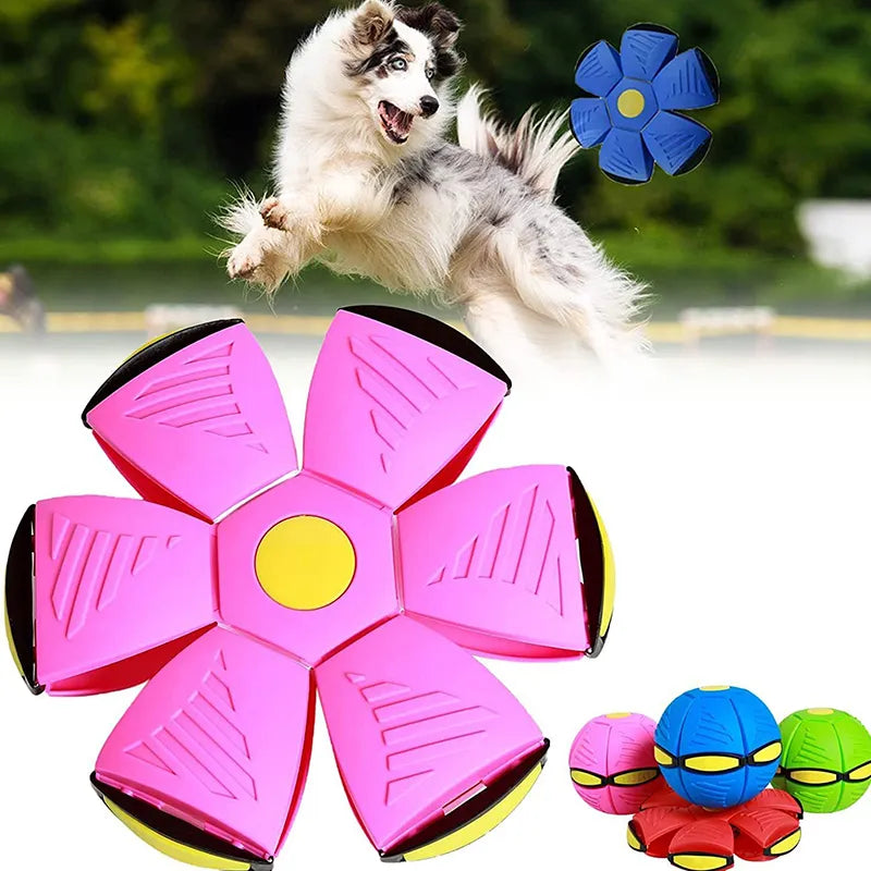 Dog Toys